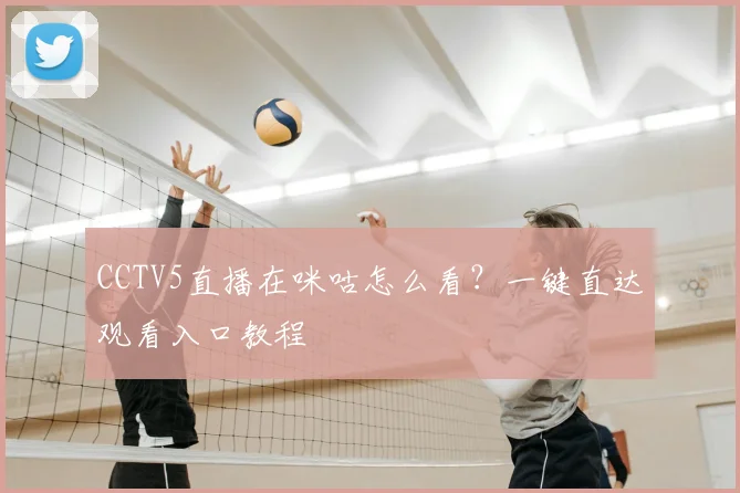 CCTV5直播在咪咕怎么看？一键直达观看入口教程