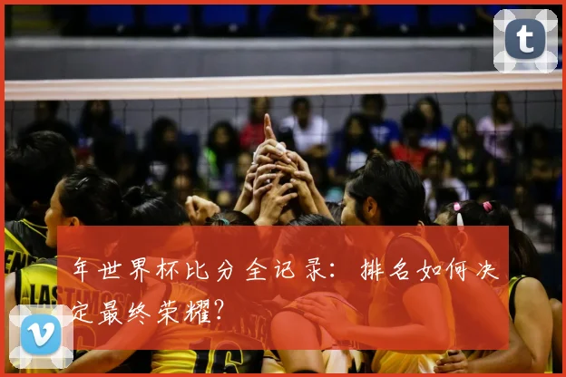 年世界杯比分全记录:排名如何决定最终荣耀?