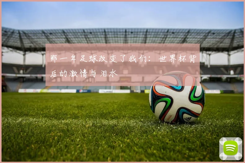 那一年足球改变了我们：世界杯背后的激情与泪水