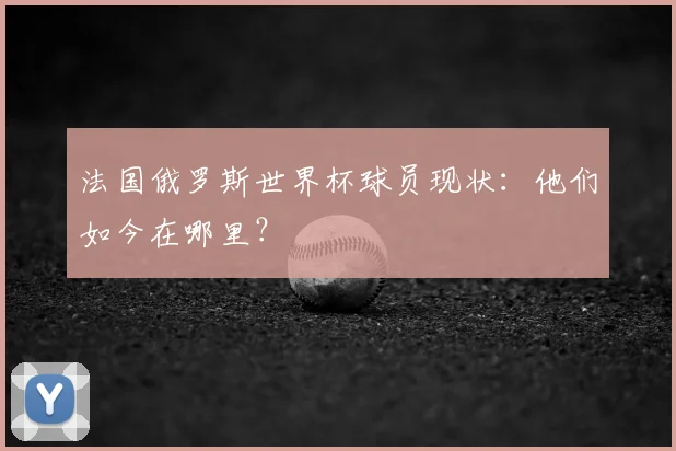 法国俄罗斯世界杯球员现状：他们如今在哪里？