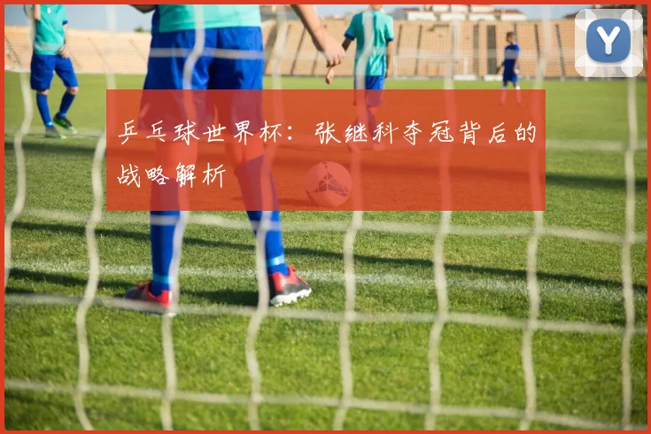 乒乓球世界杯：张继科夺冠背后的战略解析