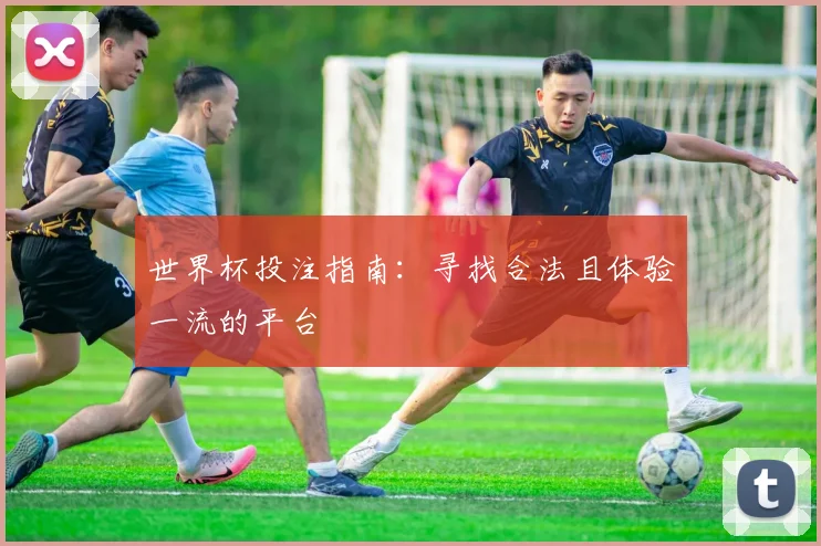 世界杯投注指南：寻找合法且体验一流的平台