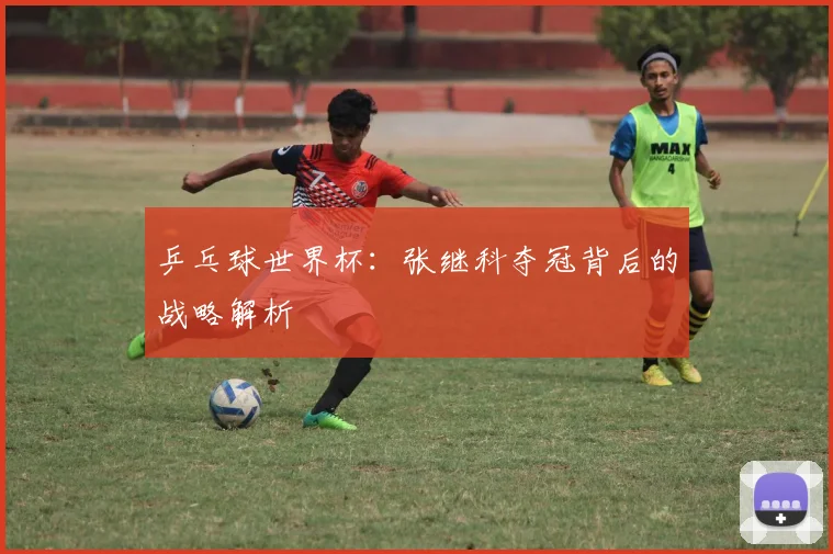 乒乓球世界杯：张继科夺冠背后的战略解析