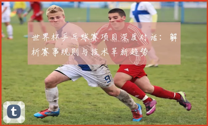 世界杯乒乓球赛项目深度对话：解析赛事规则与技术革新趋势