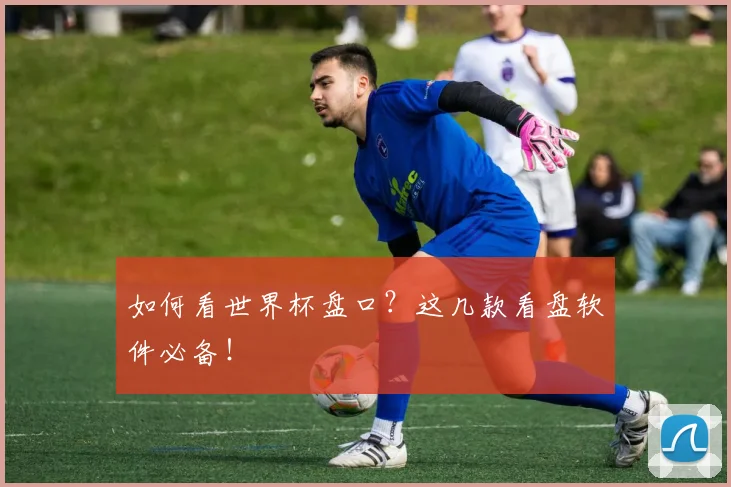如何看世界杯盘口？这几款看盘软件必备！