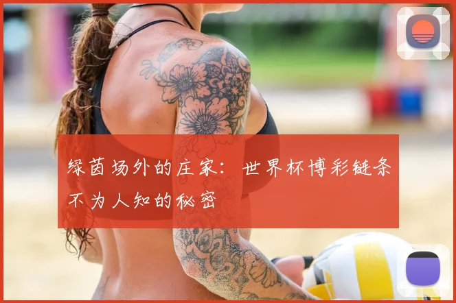 绿茵场外的庄家:世界杯博彩链条不为人知的秘密