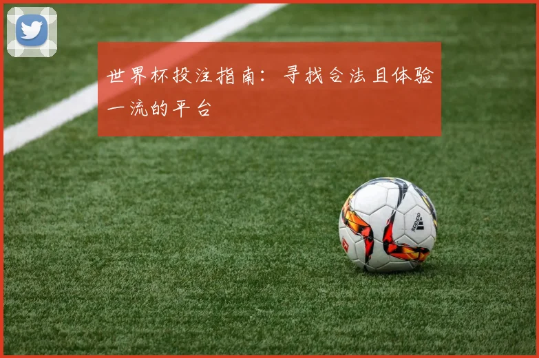 世界杯投注指南：寻找合法且体验一流的平台