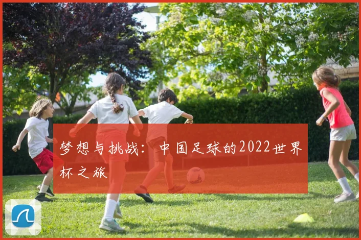 梦想与挑战:中国足球的2022世界杯之旅