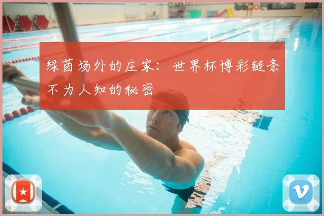 绿茵场外的庄家:世界杯博彩链条不为人知的秘密